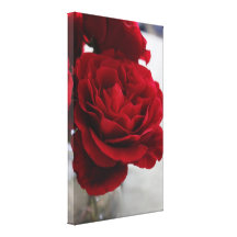 Rosa vermelha impressão de canvas envolvida