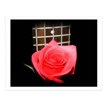 Rosa vermelho do rosa contra o fretboard do baixo  cartoes postais