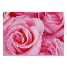 Rosas cor-de-rosa apenas para você cartao