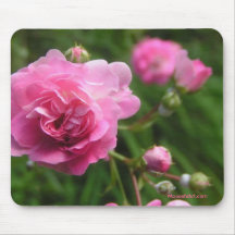 Rosas cor-de-rosa Mousepad