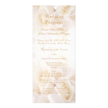 Rosas de creme brancos que Wedding o programa Convites