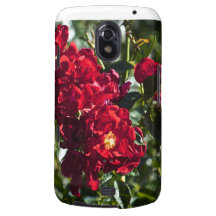 rosas selvagens capa galaxy nexus