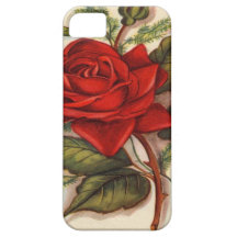 Rosas vermelhas iPhone 5 capas
