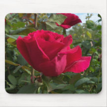 Rosas vermelhas Mousepad