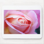 rose.JPG cor-de-rosa Mousepad