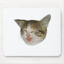 Rosto divertindo de gatinho gracioso que careta mouse pads