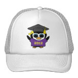 Roxo do pinguim da menina & formando do ouro 2012 bone