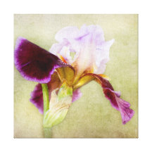 Roxo e canvas de belas artes da flor da lavanda impressão de canvas esticada