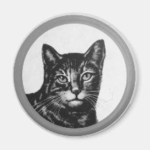 SadCat Ima