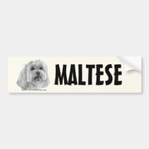 Sadie, maltês adesivos