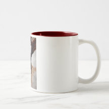Salomea Caneca