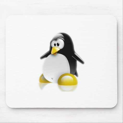 Salto de Linux Mousepad