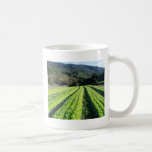Santa Tereza/RS 3 Caneca