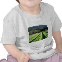 Santa Tereza/RS 3 Tshirts