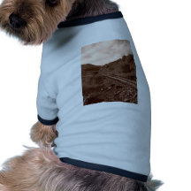 Santa Tereza Series 2 Roupa Para Pets