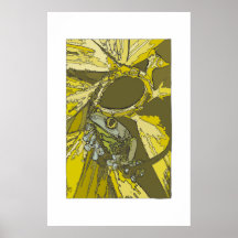 sapo de árvore posters
