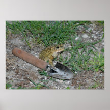 Sapo de jardinagem, impressão