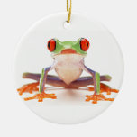 Sapo Enfeite De Natal