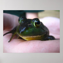 Sapo Impressão