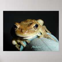Sapo Posters