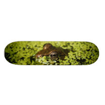 Sapo Skate