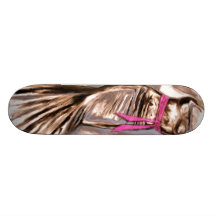 "Sashed " Skates