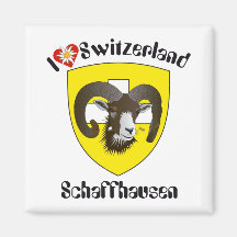 Schaffhausen Suíça Suisse Svizzera íman Imas De Geladeira