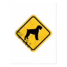 Schnauzer Cartao Postal