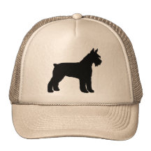 Schnauzer gigante (preto) bone