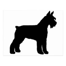 Schnauzer gigante (preto) cartão postal