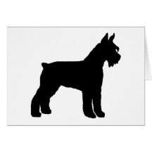 Schnauzer gigante (preto) cartoes