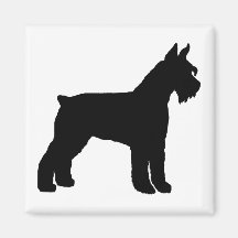 Schnauzer gigante (preto) imã