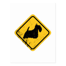Scottish Terrier Cartões Postais