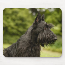 Scottish Terrier Mousepad