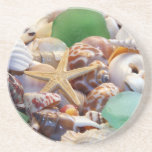 Seashells estrela do mar & porta copos do vidro da