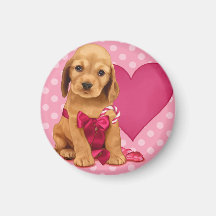 Seja meus namorados cocker spaniel ima