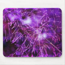 Sementes de Mousepad roxo