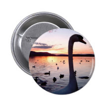 Serenidade Pins