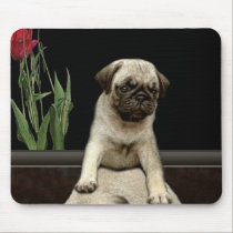 Série bonito do presente dos Cão-amantes do filhot mousepads
