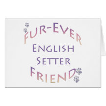 Setter inglês Furever Cartão