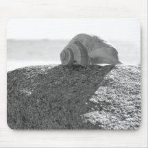 Shell em uma rocha mousepads