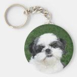 Shih Tzu enfrenta o chaveiro