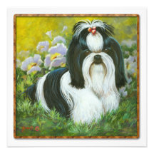 Shih Tzu no cartão do convite do jardim