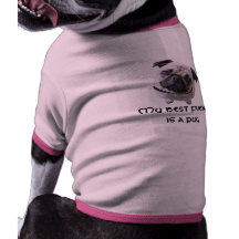 Shirt “Surrupias " Roupa Para Caes