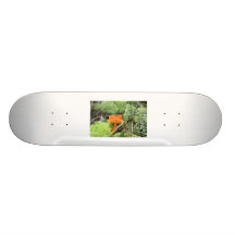 shroom skateboard