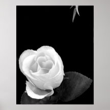 Simplicidade Posters