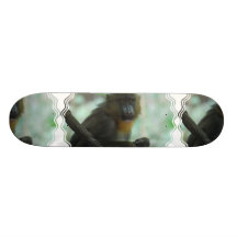 Skate bonito de Mandrill