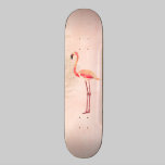 Skate cor-de-rosa do flamingo skates