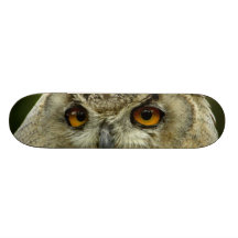 Skate da coruja de Eagle
