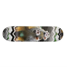 Skate da família do macaco de esquilo